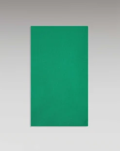 Echarpe Regular Basique