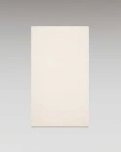 Echarpe Regular Basique