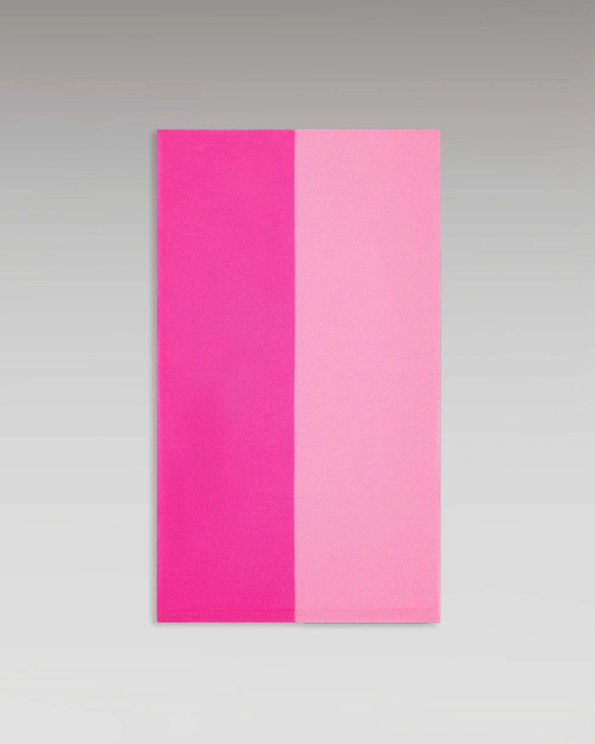 Echarpe Regular Bicolore