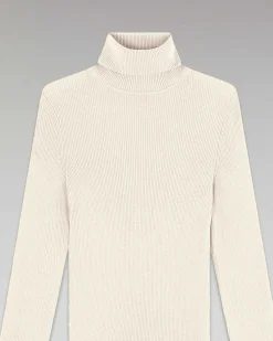 Pull Basique Col Roule