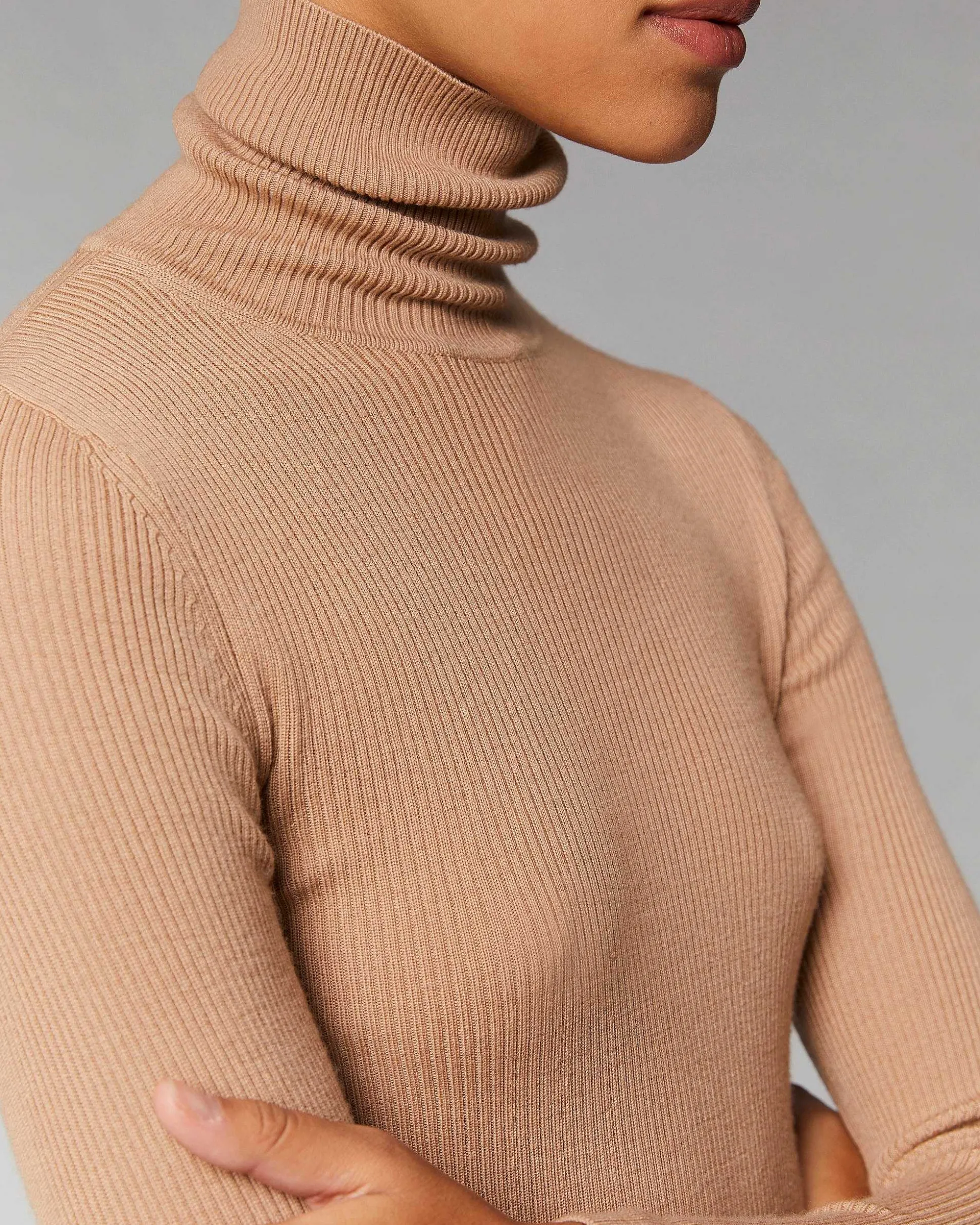 Pull Basique Col Roule