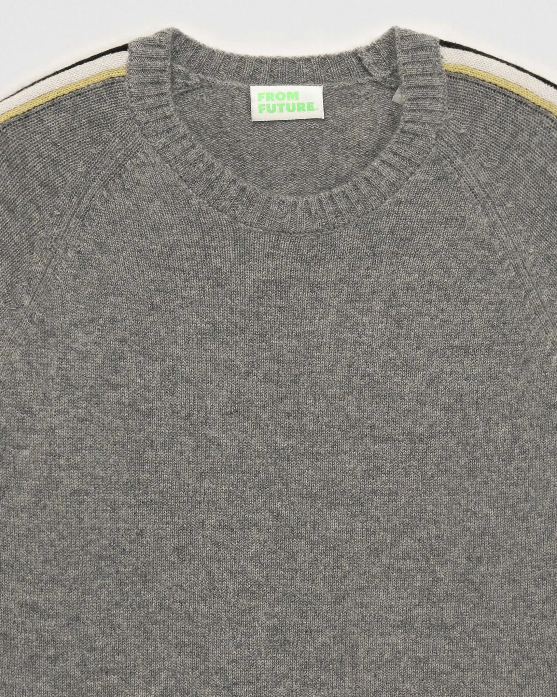 Pull Col Rond Bandes Future