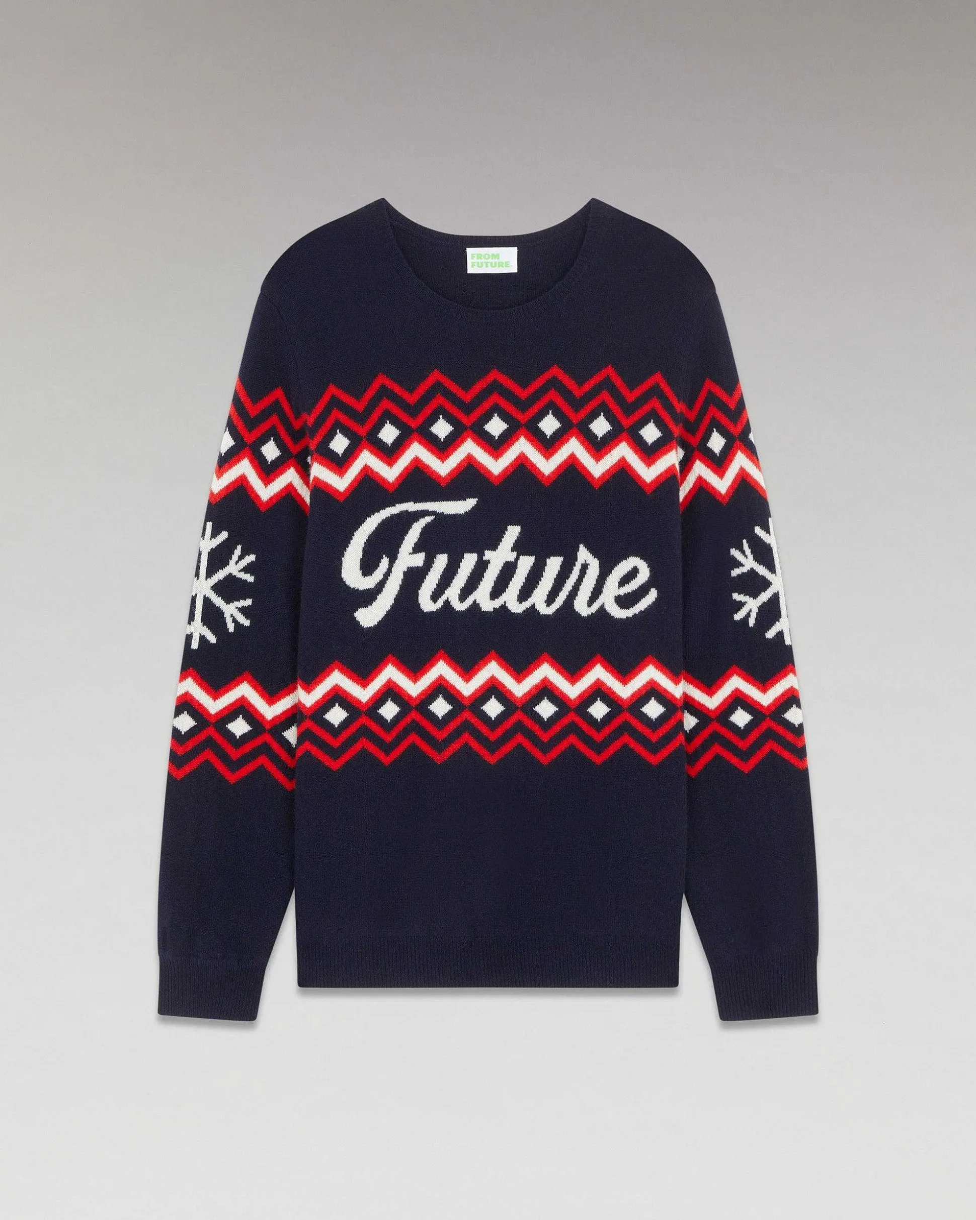 Pull Col Rond Norvegien Future