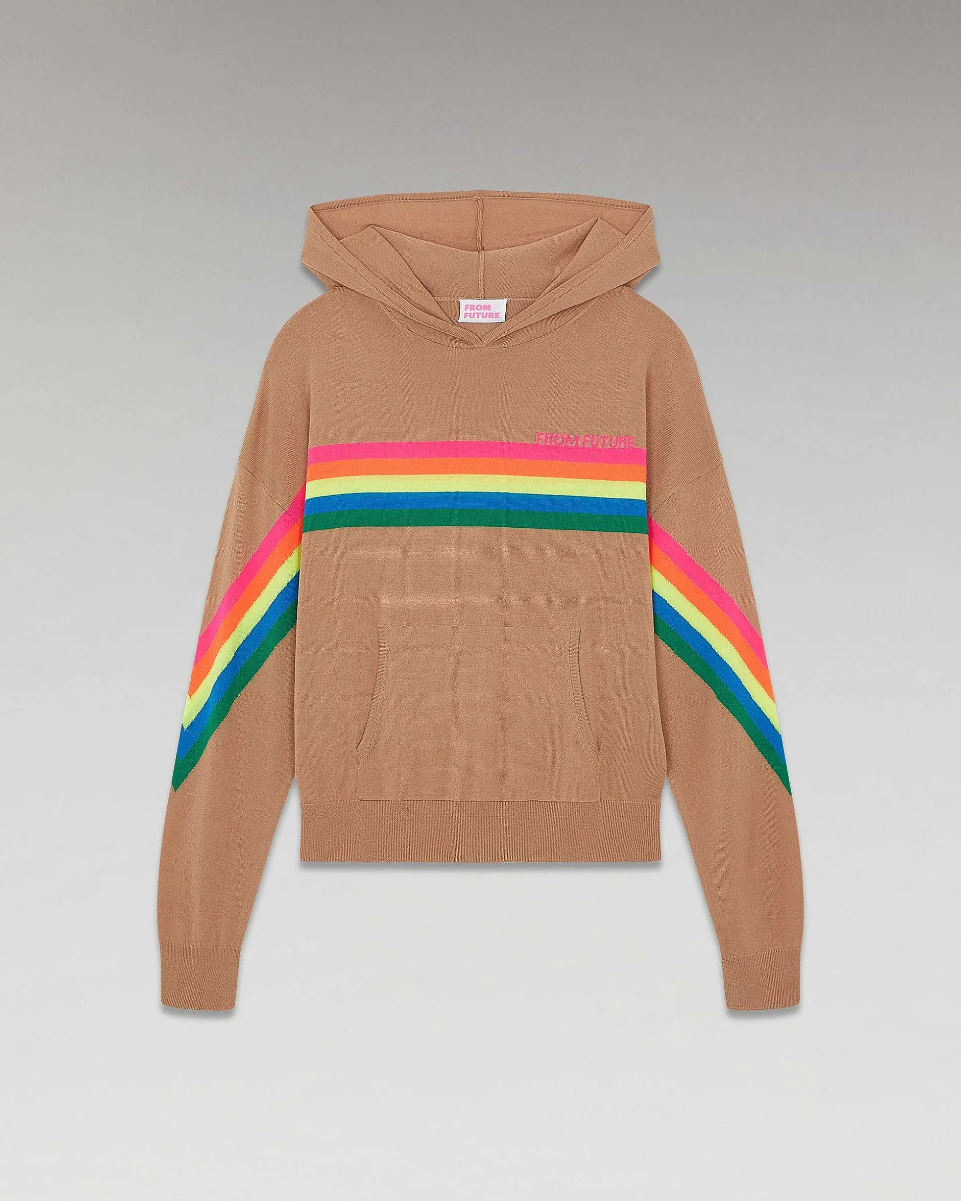 Pull Hoodie Bandes Multico