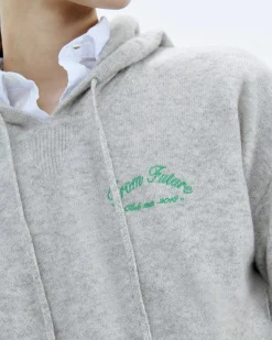 Pull Hoodie From Future World League