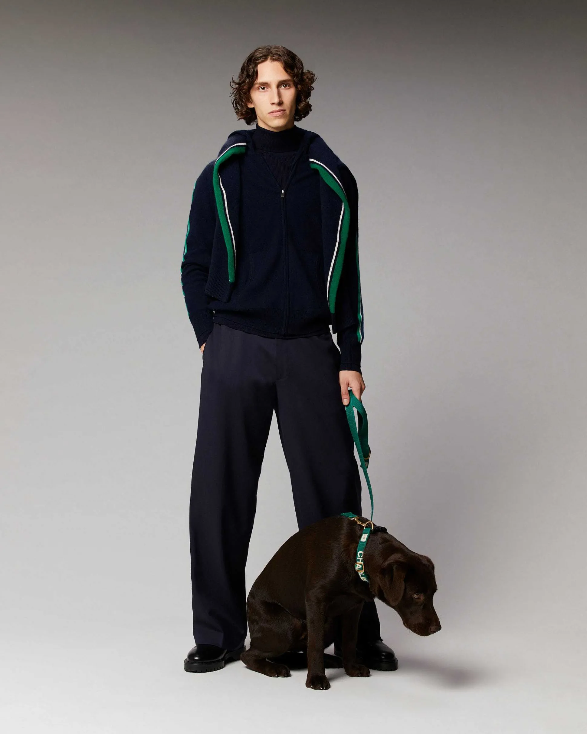 Pull Hoodie Zippe Bandes