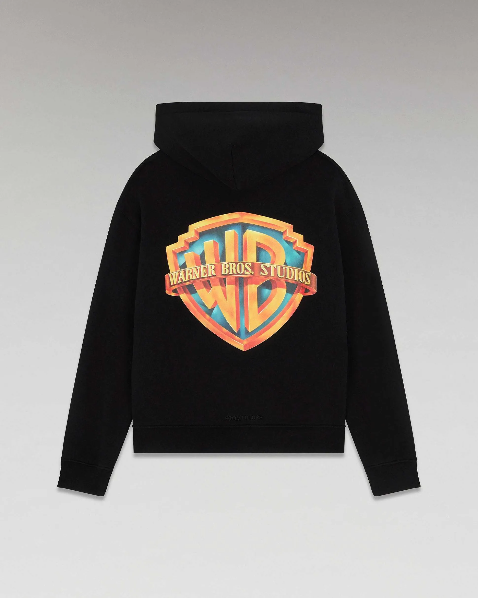 Sweatshirt Hoodie Warner